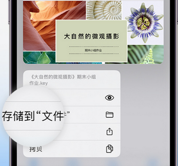 文圣apple维修中心分享iPhone文件应用中存储和找到下载文件