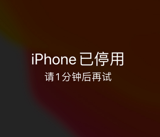 文圣苹果手机维修分享:iPhone 显示“不可用”或“已停用”怎么办？还能保留数据吗？ 