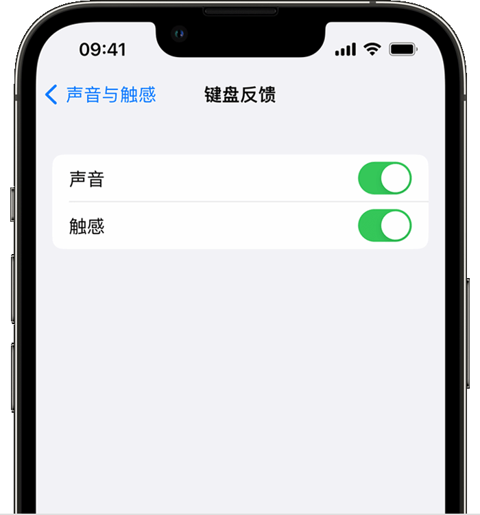 文圣苹果14维修店分享如何在 iPhone 14 机型中使用触感键盘 