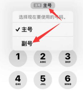 文圣苹果14维修店分享iPhone 14 Pro Max使用副卡打电话的方法 