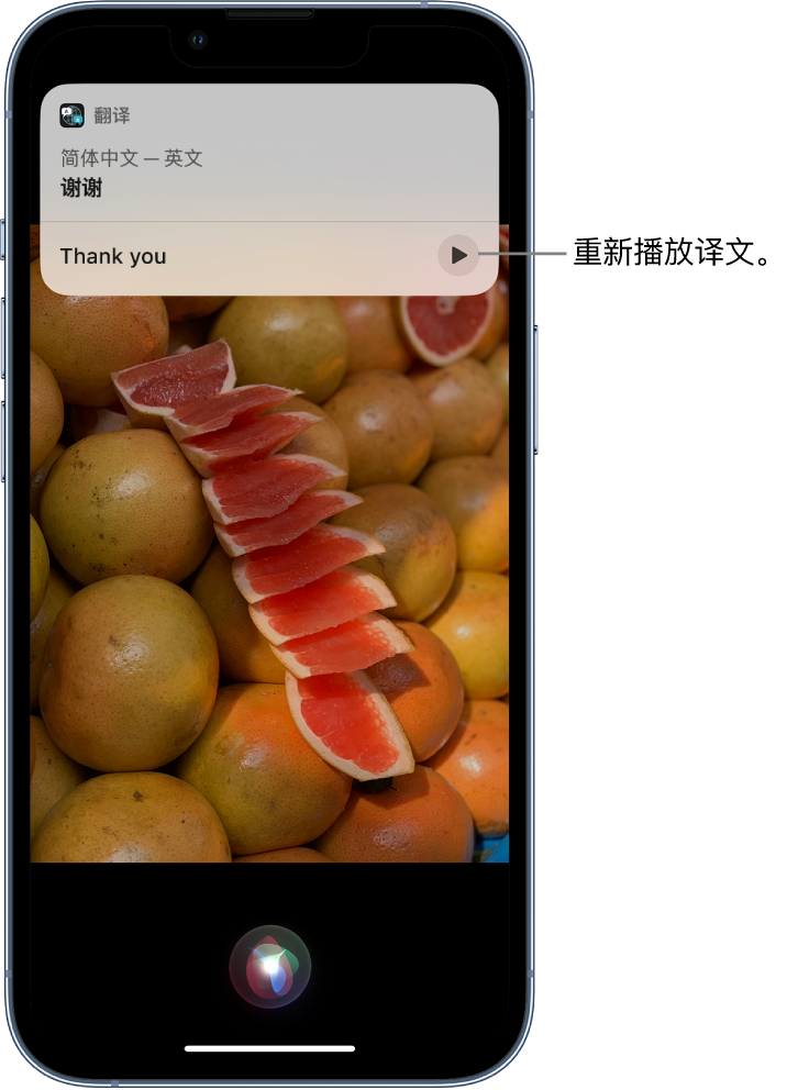 文圣苹果14维修分享 iPhone 14 机型中使用 Siri：了解 Siri 能帮你做什么 