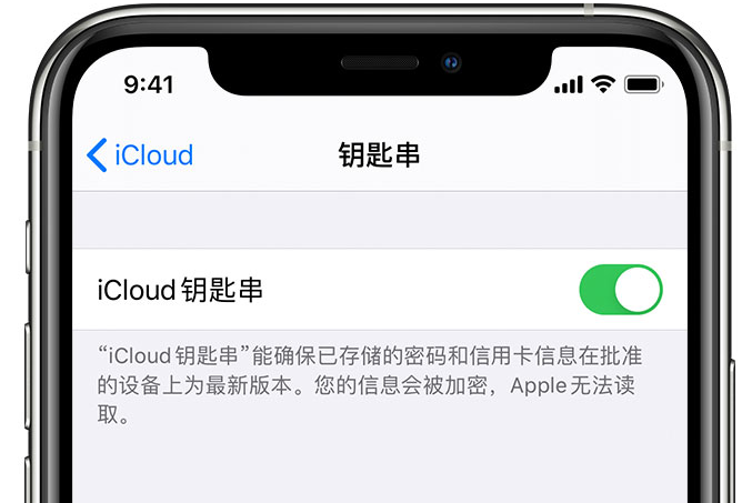 文圣苹果手机维修分享在 iPhone 上开启 iCloud 钥匙串之后会储存哪些信息 