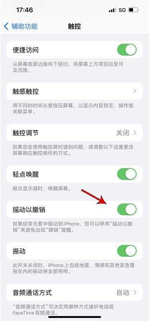 文圣苹果手机维修分享iPhone手机如何设置摇一摇删除文字 